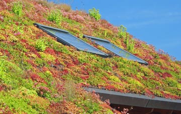 Swanton Morley living roof systems